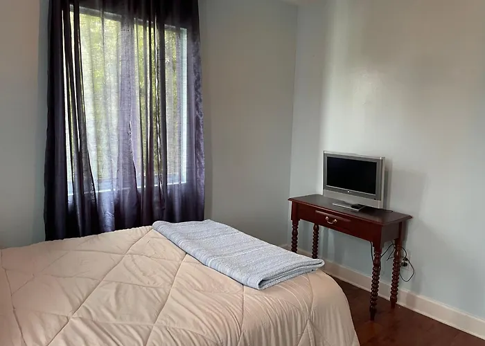 The Painted Lady, A Spacious Renovated 4Br Victorian